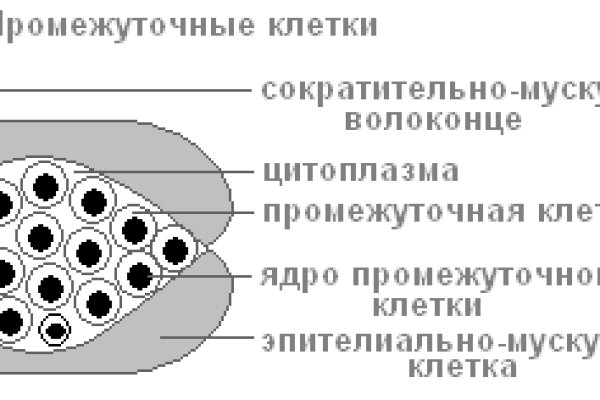 Блэк спрут bs2link co