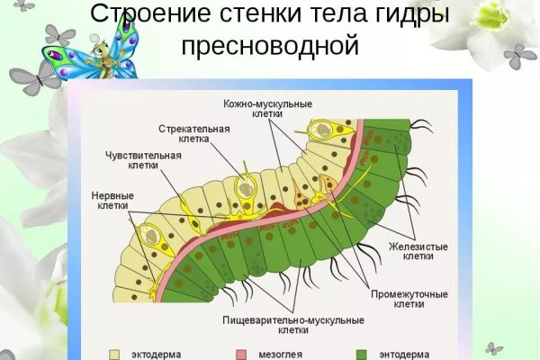 Блэкспрут телеграмм